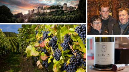 Chinon Vieilles Vignes – Domaine Philippe Alliet