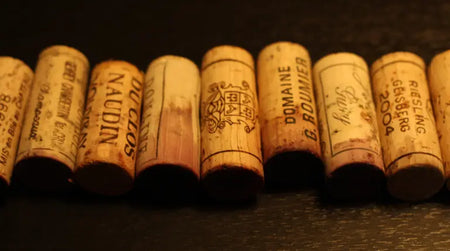 Notre Masterclass « Grands Vins à Maturité »