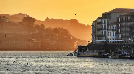 Destination Portugal : vous partez à Porto ? Voici les bonnes adresses de l’équipe !