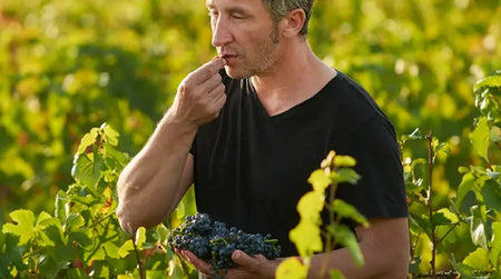 Portrait de Vigneron : Bernard Bouvier en Bourgogne