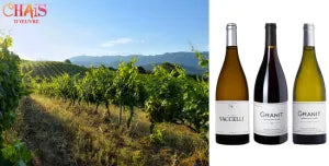 En vacances autour d'Ajaccio? Nos 3 cuvées coup de cœur