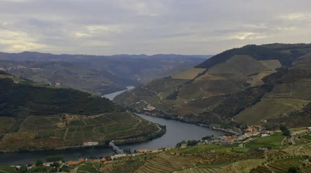 Retour sur notre soirée membre « Un soir dans la Vallée du Douro »