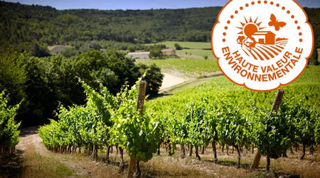 Nouvelle certification environnementale, un impact pour nos vignerons ?