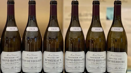 Dans les vignes : Le domaine Méo-Camuzet, un must de la Bourgogne !