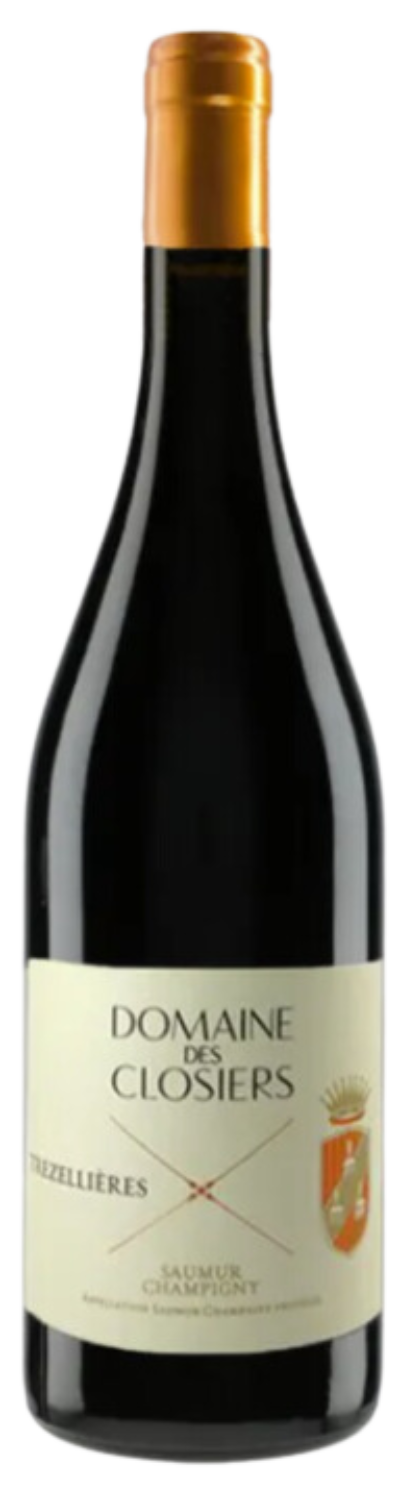 Saumur-Champigny Trezellières - 2021 - Domaine des Closiers