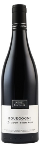 Bourgogne Côte-d'Or Pinot Noir - 2023 - Domaine Morey-Coffinet