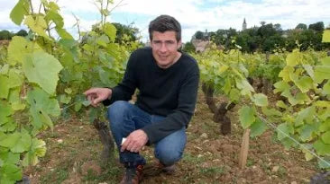 Rully 1er cru Meix Cadot 2014, Domaine Dureuil-Janthial