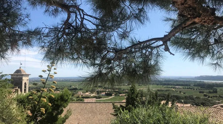 Destination France : les bonnes adresses de l’équipe à Châteauneuf-du-Pape !