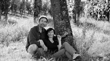 Domaine Trapet : le Dieu du pinot noir