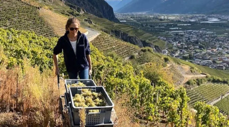 Allocation de Décembre : Caroline Frey et son vin du Valais