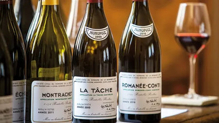 Sur la Route des Grands Crus : la Bourgogne