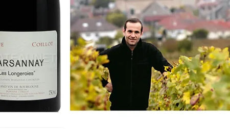 Marsannay Les Longeroies 2013 Domaine Coillot