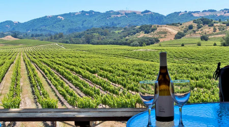 Le vignoble Californien