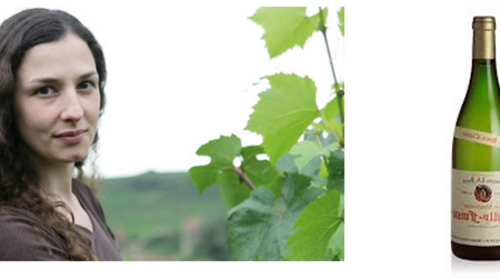 Pouilly Fuissé Les Ménétière 2013 – Domaine Ferret