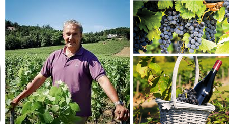 Givry 1er Cru Clos Jus 2013 – Domaine Lumpp