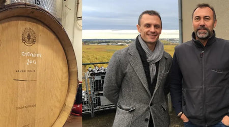 Portrait de Vigneron : Bruno Colin en Bourgogne
