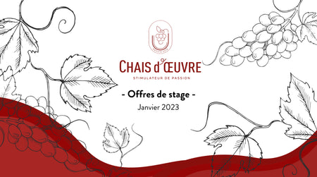 STAGES – JANVIER 2023