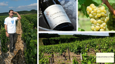 Chablis Premier Cru Montée de Tonnerre 2014 – Domaine Christophe et Fils