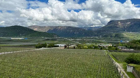 Les grands vignobles italiens : road trip dans le nord de l’Italie, de Turin à Venise – Episode 1