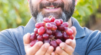 Vinification traditionnelle et vinification moderne