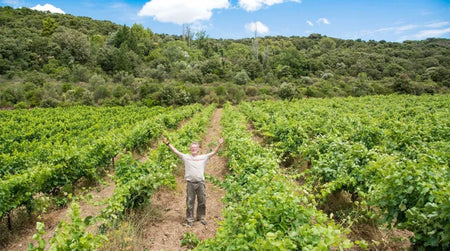 Zoom sur le Domaine Le Conte Des Floris : un rendez-vous au cœur du Languedoc !