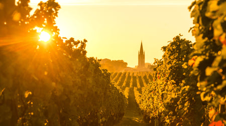 Bordeaux : les primeurs sont de retour !