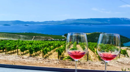 Dans le vignoble : escapade en Croatie