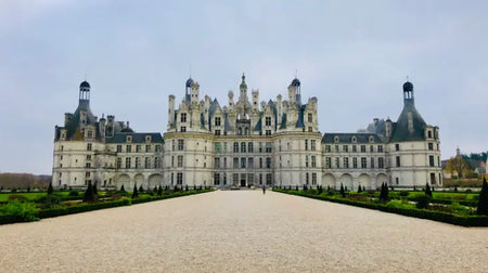 Le vignoble de Loire : la mine d’or pour les amateurs de vin !