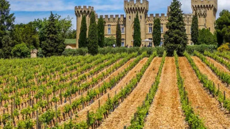 Masterclass : le Rhône et son appellation iconique, Châteauneuf-du-Pape