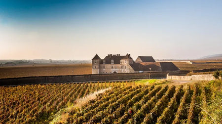Sortie dans le vignoble : direction la Côte de Nuits en Bourgogne !