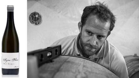 Anjou « A Françoise » 2013 – Domaine Thibaud Boudignon
