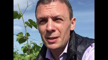 Le millésime 2016 de Jean-Marc Roulot