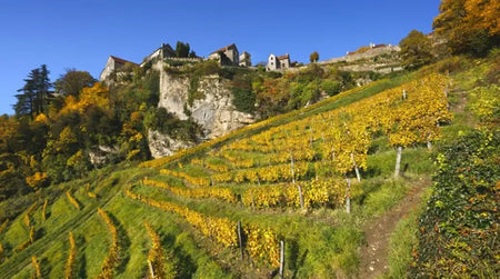 Retour sur la Masterclass Spéciale Jura