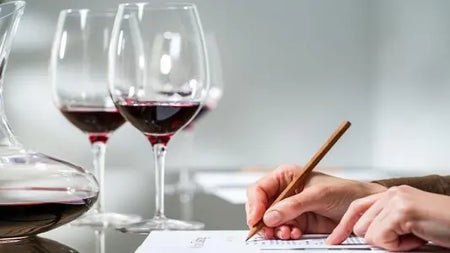 Back to basics : caractéristiques des arômes du vin