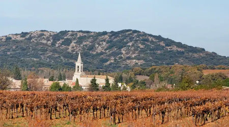 Lirac, l’appellation ensoleillée du Rhône