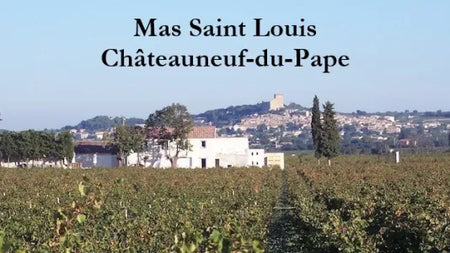 Mas Saint-Louis : coup de cœur à Châteauneuf-du-Pape