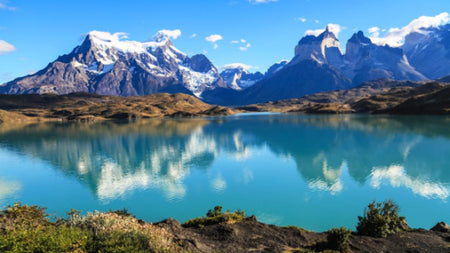 Le vignoble de la fin du monde : la Patagonie.