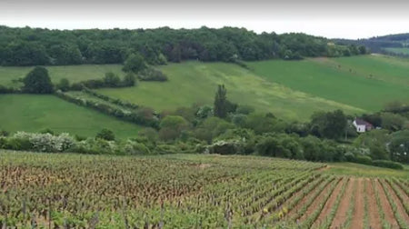 Volnay 1er cru 2012 – Domaine Roblet Monnot