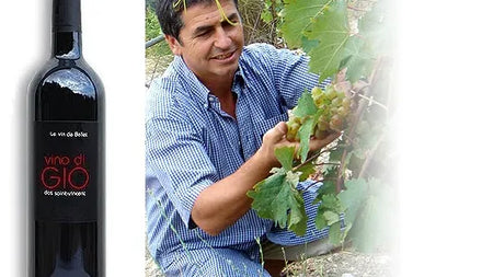 Bellet – Vino di Gio Blanc 2014 – Clos Saint Vincent