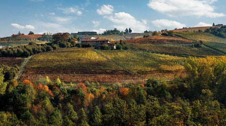 Barolo 2011 – Domaine Parusso