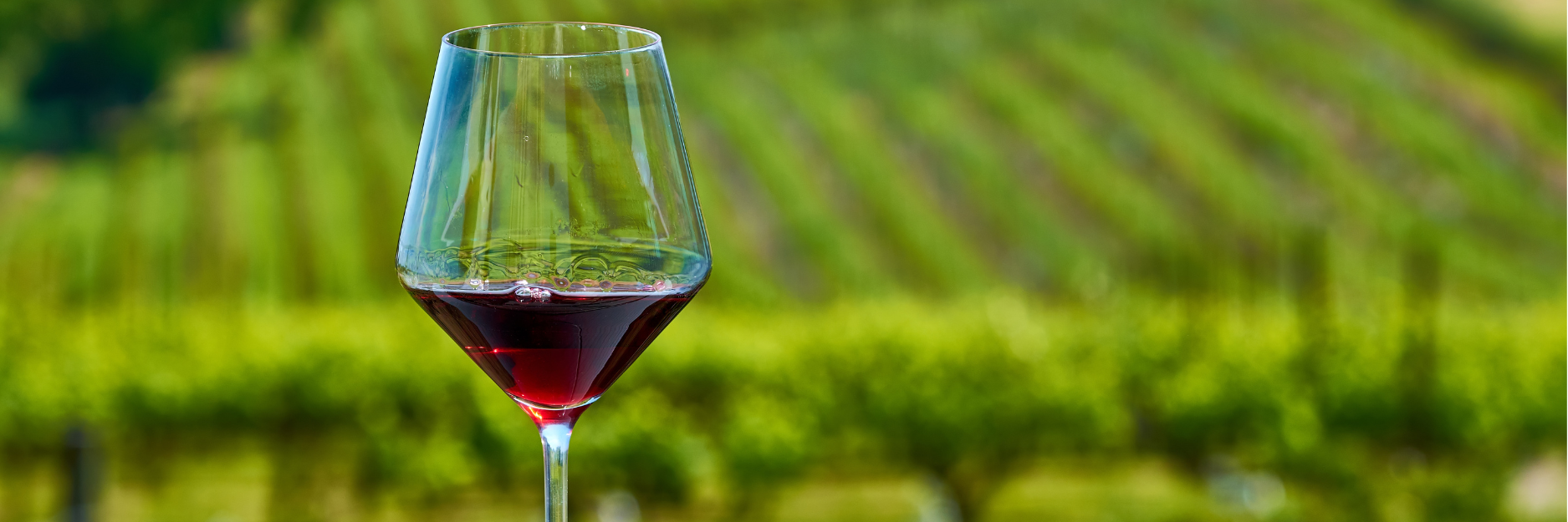 Vins rouges – Chais d'œuvre