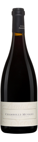 Magnum Chambolle-Musigny - 2023 - Domaine Amiot-Servelle