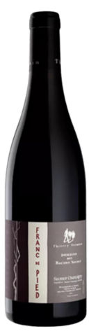 Saumur-Champigny Franc de Pied - 2023 - Domaine des Roches Neuves