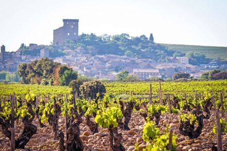 Châteauneuf-du-Pape Magis - 2020 - Rotem & Mounir Saouma – Chais d