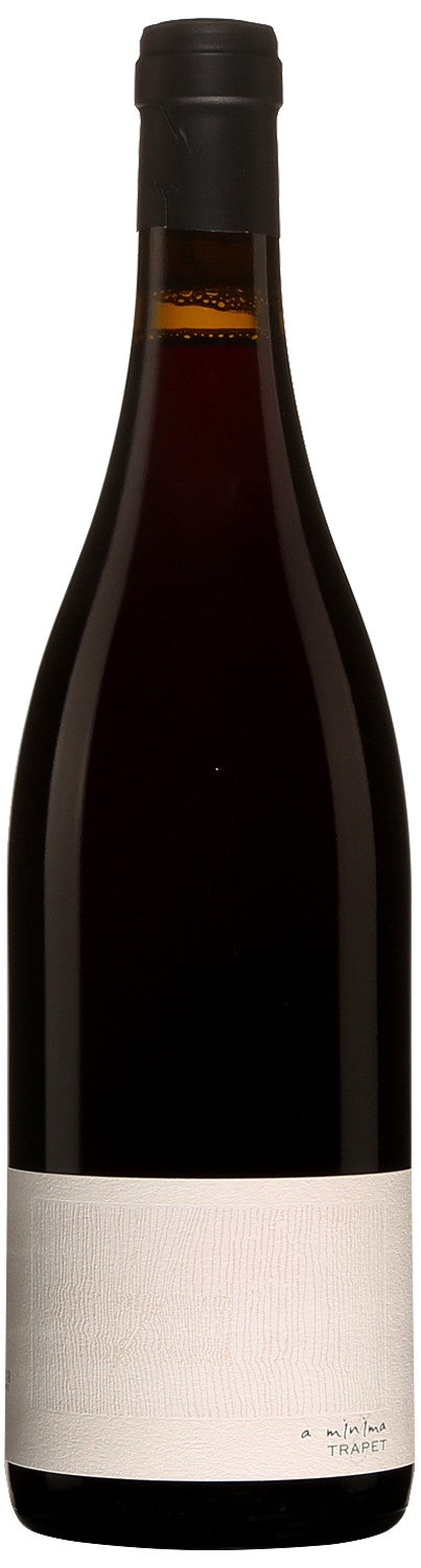 Bourgogne Passetoutgrain a minima - 2023 - Domaine Jean Trapet Père & Fils