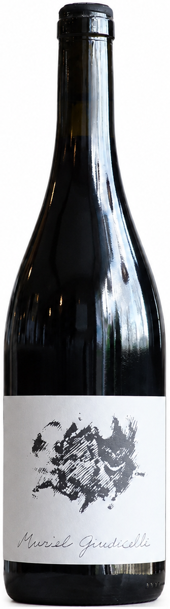 Vin de France Blanc de noirs - 2024 - Domaine Giudicelli