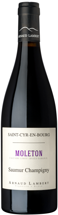 Saumur-Champigny Clos Moleton - 2017 - Domaine Arnaud Lambert