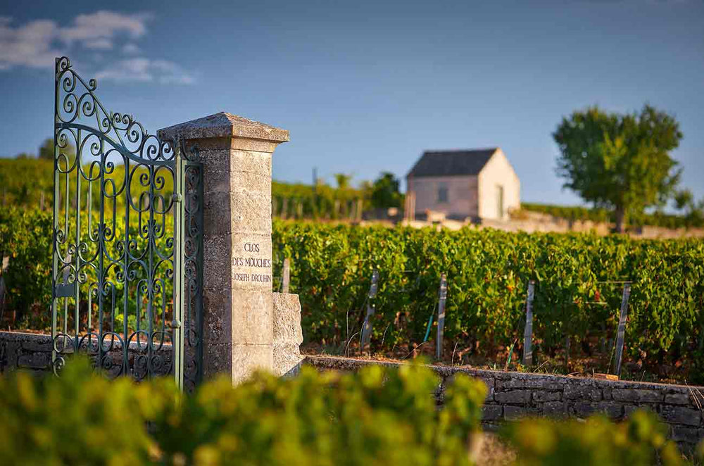 Terroirs de légende