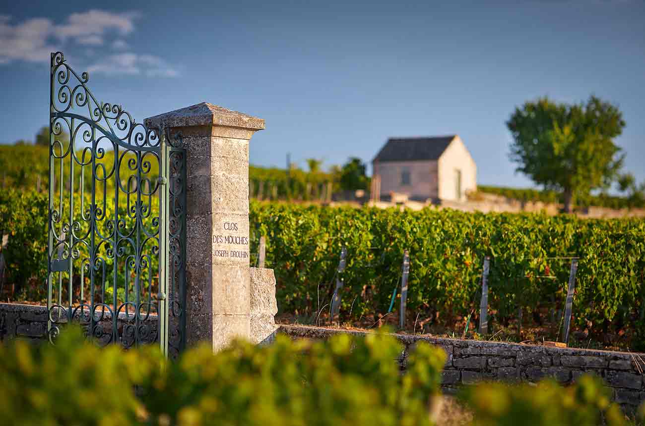 Terroirs de légende